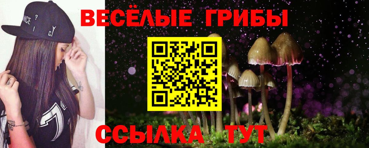 Галлюциногенные грибы Cubensis  Галлюциногенные грибы MAGIC MUSHROOMS  Слободской  Вход с VPN 